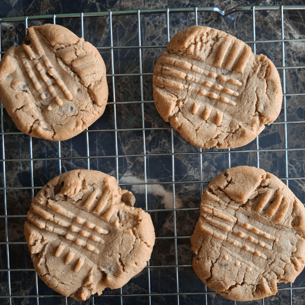 easy peanut butter & chocolate chip cookies (beginner friendly!)